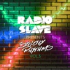 Radio Slave Presents Strictly Rhythms, Vol. 5, 2010