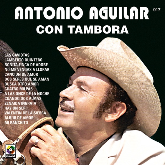 Cover artwork for Valentin de la Sierra
