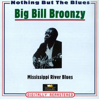 Mississippi River Blues - Big Bill Broonzy