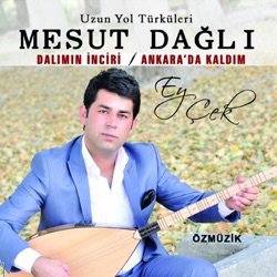 Mesut Dağlı - Ankarada Kaldım Ağlar Gezerim