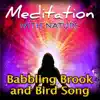 Babbling Brook and Bird Song album lyrics, reviews, download