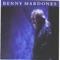 Into the Night (Re-Recorded In Stereo) - Benny Mardones lyrics