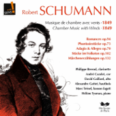Schumann : Musique de chambre avec vents 1849 (Schumann: Chamber music with winds 1849) - Philippe Berrod, André Cazalet, David Gaillard, Alexandre Gattet, Marc Trenel & Helene Tysman