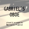 Mercuzio Pianist - Golden Slumbers (Carry that Weight - The End)