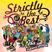 Strictly the Best, Vol. 47 artwork