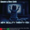 New Reality 2010 - E-Man & Doc Link lyrics