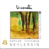 Bütüneserleri, Vol. 14 (Kapılar Tutulmuş Neylersin), 2011