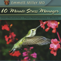 Dr. Emmett Miller - 10-Minute Stress Manager - Single artwork