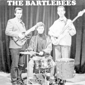 The Bartlebees - You Are Still Beautiful