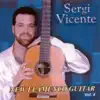 New Flamenco Guitar (Vol. IV) album lyrics, reviews, download