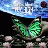 Stream & download Fly High - Single