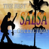 The Best Salsa Collection artwork