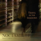 Marla Fibish & Bruce Victor - Travel in the Shadows