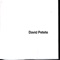 I Like Big Books - David Petete lyrics