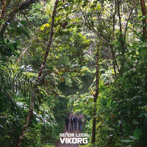 Album artwork