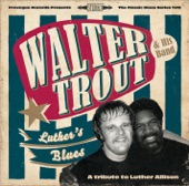 Luther's Blues (A Tribute To Luther Allison) artwork