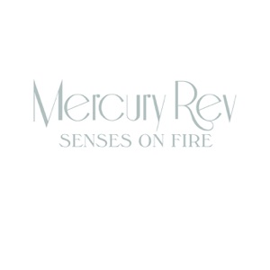 Senses On Fire - Single