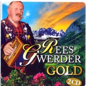 Rees Gwerder Gold (feat. Rees Gwerder) artwork