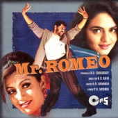 Mr. Romeo (Soundtrack from the Motion Picture) artwork