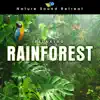 Relaxing Rainforest for Meditation & Relaxation album lyrics, reviews, download