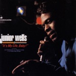 Junior Wells - Stormy Monday Blues