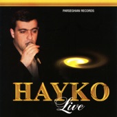 Hayko Live artwork