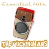 The Buckinghams - I'll Go Crazy