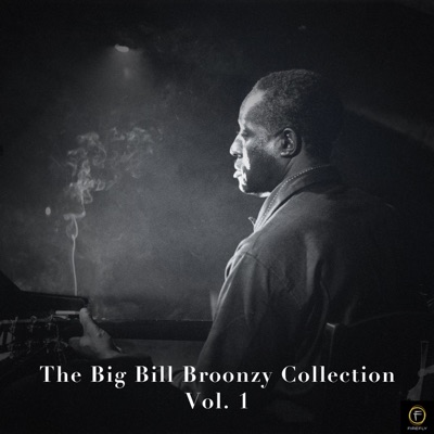 The Big Bill Broonzy Collection, Vol. 1 - Big Bill Broonzy