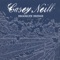 Brooklyn Bridge - Casey Neill lyrics