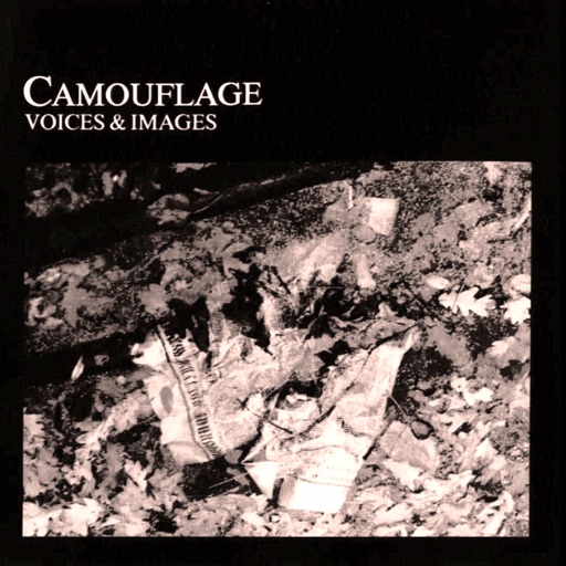 Art for The Great Commandment by Camouflage