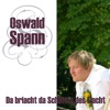 Da bricht da Schatt'n des Liacht - Single