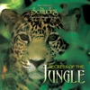 Secrets of the Jungle, 2013