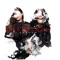 Anthem - Chameleon lyrics