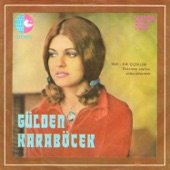 Gülden Karaböcek - Kır Çiçekleri