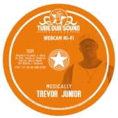 Webcam Hi-Fi - Musically feat. Trevor Junior