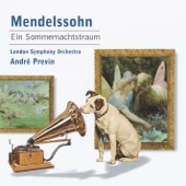 Mendelssohn: Ein Sommernachtstraum artwork