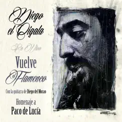 Vuelve el Flamenco: Homenaje a Paco de Lucía (feat. Diego del Morao) [En Vivo] by Diego El Cigala album reviews, ratings, credits