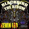 Blackbird the Album