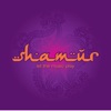 Shamur - Let The Music Play (Original Vocal Mix)