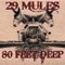 Caballero - 29 Mules lyrics