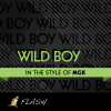 Wild Boy - Originally Performed by MGK [Karaoke / Instrumental] - Flash