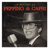 Lo Mejor de Peppino Di Capri