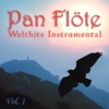 Welthits Instrumental, Vol. 1