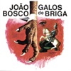 Galos De Briga