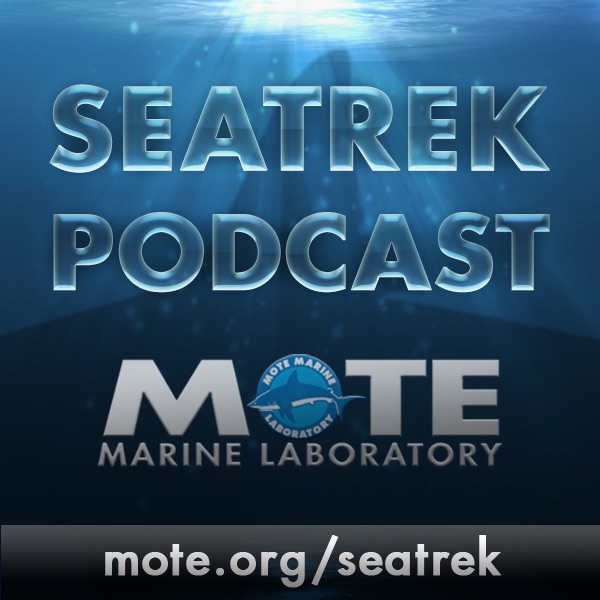 SeaTrek.TV cover