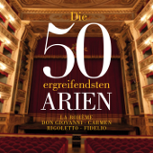 Die 50 ergreifensten Arien - La Boheme - Don Giovanni- Carmen - Rigoletto - Fidelio - Verschiedene Interpreten