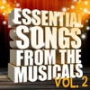 Essential Songs from the Musicals, Vol. 2