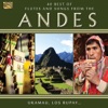 40 Best of Flutes and Songs from the Andes, 2014