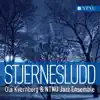 Stream & download Stjernesludd - Single