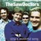 N17 - The Saw Doctors lyrics